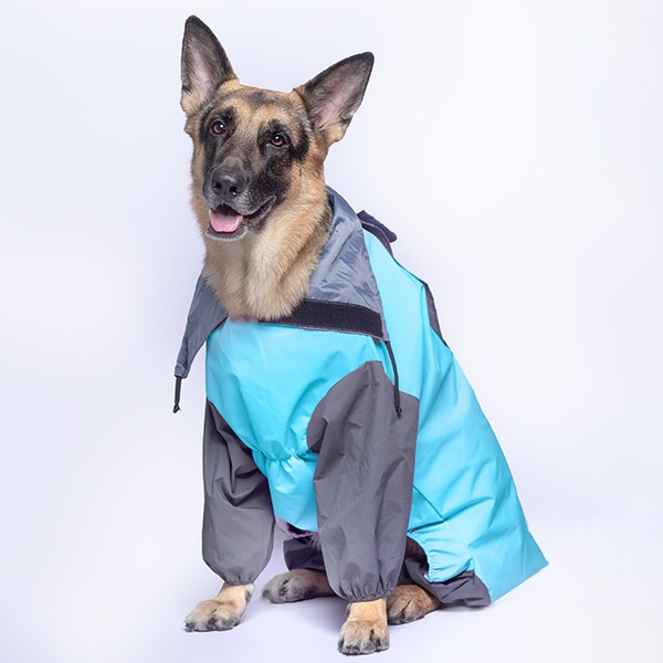 Ezra Full Sleeves Raincoat - Blue