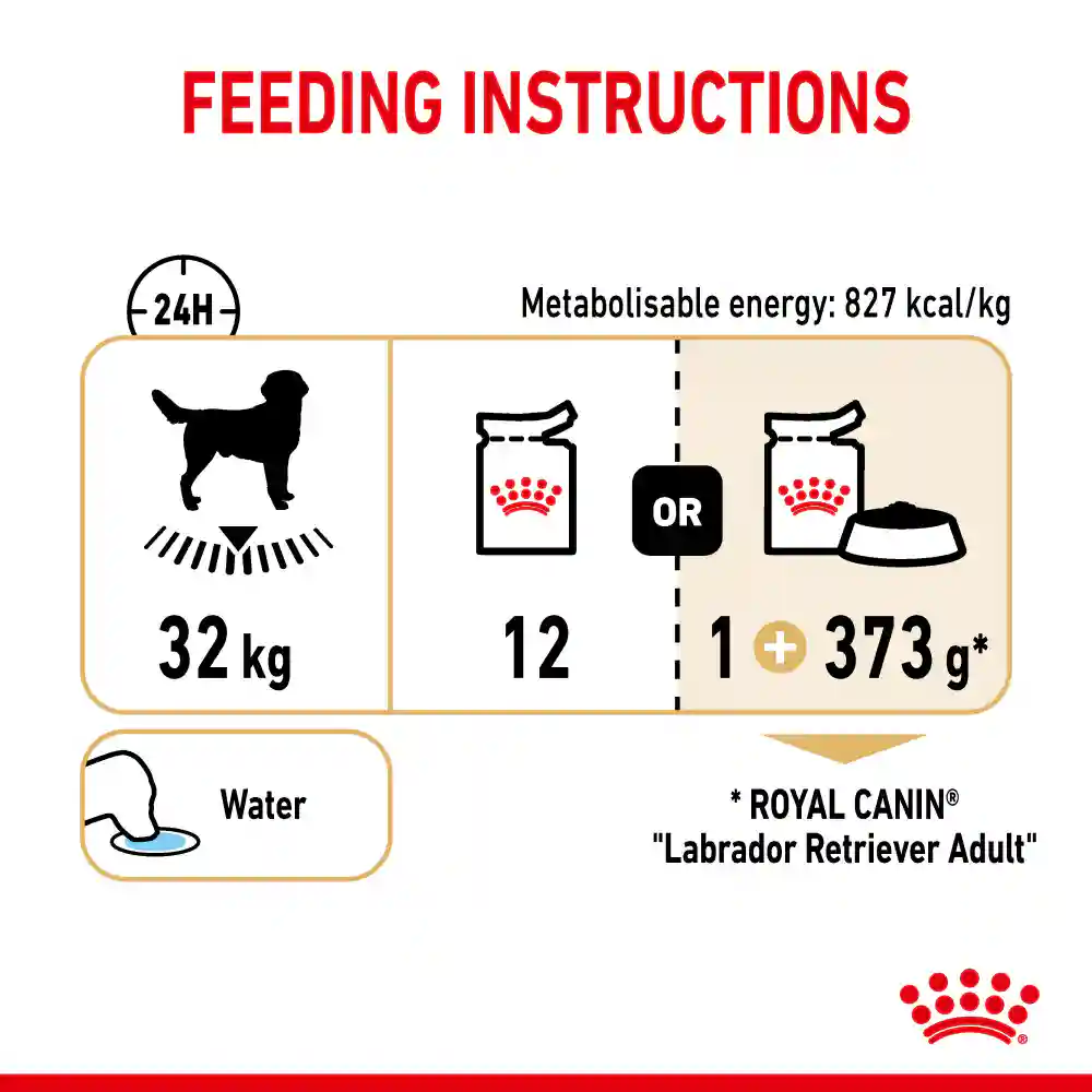 Royal Canin Chunks In Gravy Labrador Retriever Adult Wet Dog Food, 140g