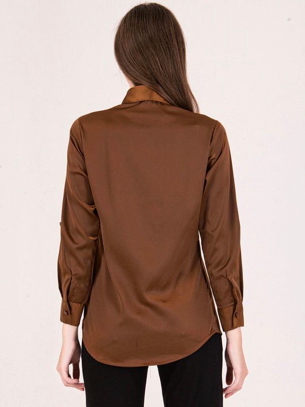 Albion Women Brown Smart Top