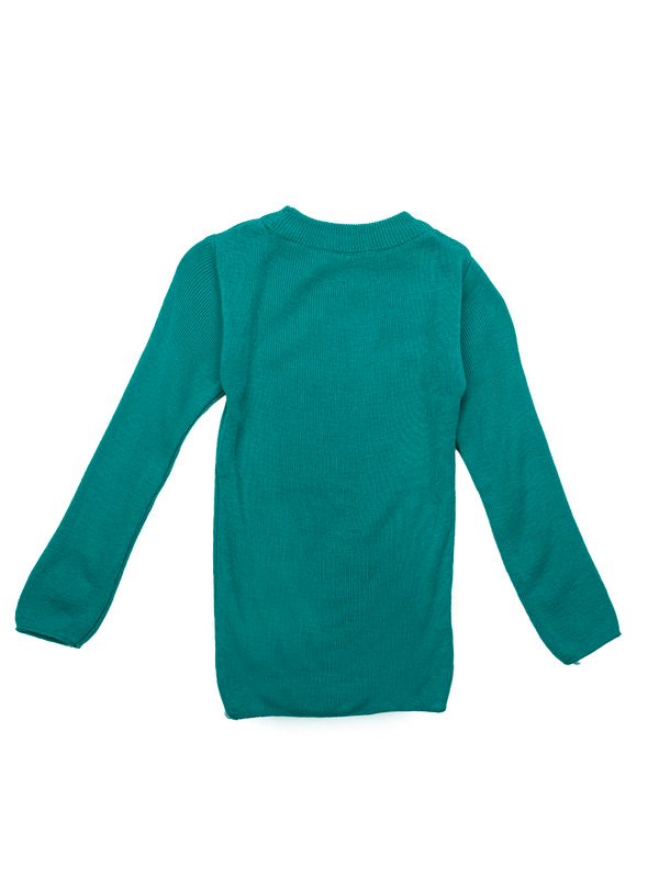 Albion Kids Girls Rama Green Pullover