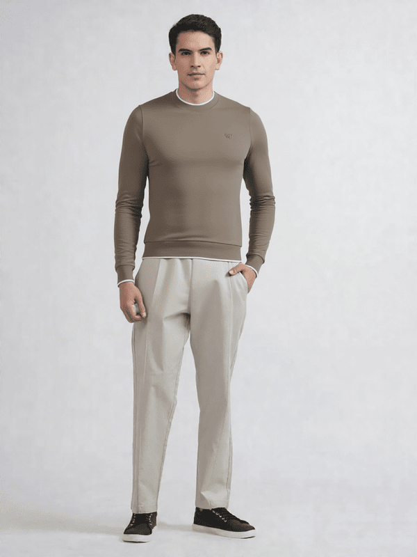 ALBION PREMIUM MENS WINTER CASUAL FAWN T-SHIRTS