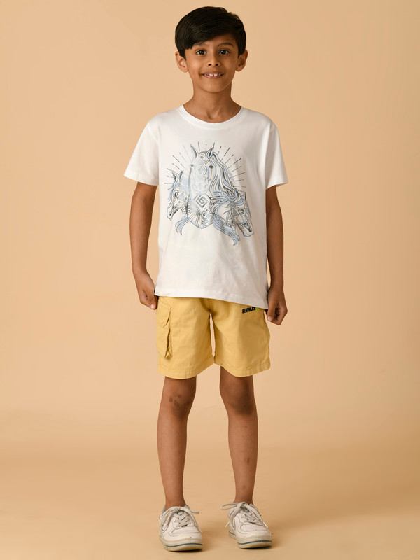 ALBION PREMIUM BOYS MULTI SHORTS