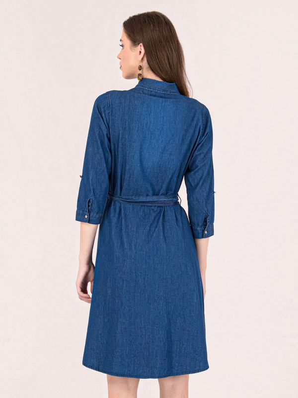 Albion Women Blue Smart Dress