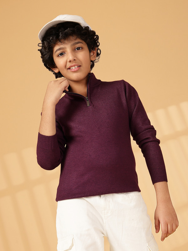 Albion By CnM Kids Boys D PURPLE PULLOVER