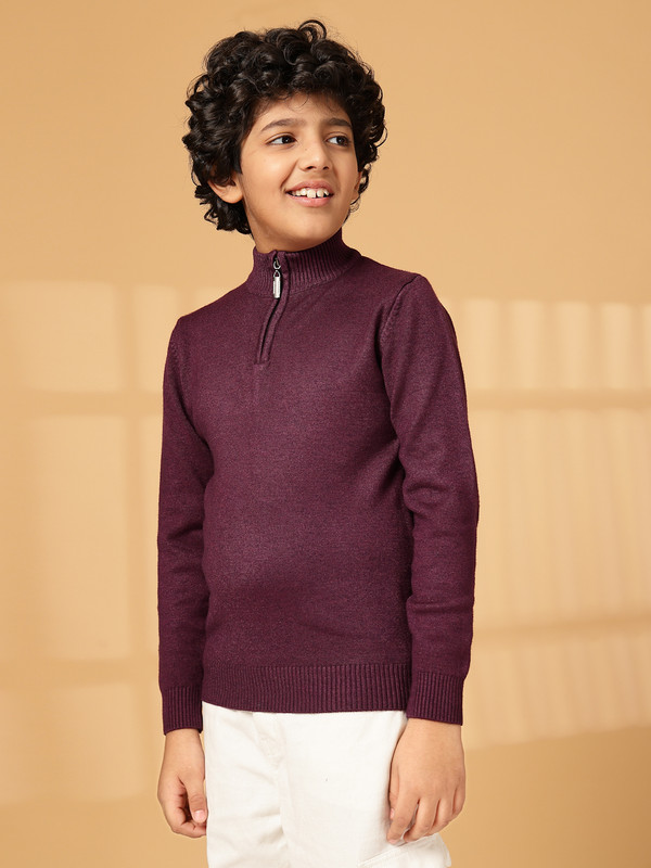 Albion By CnM Kids Boys D PURPLE PULLOVER