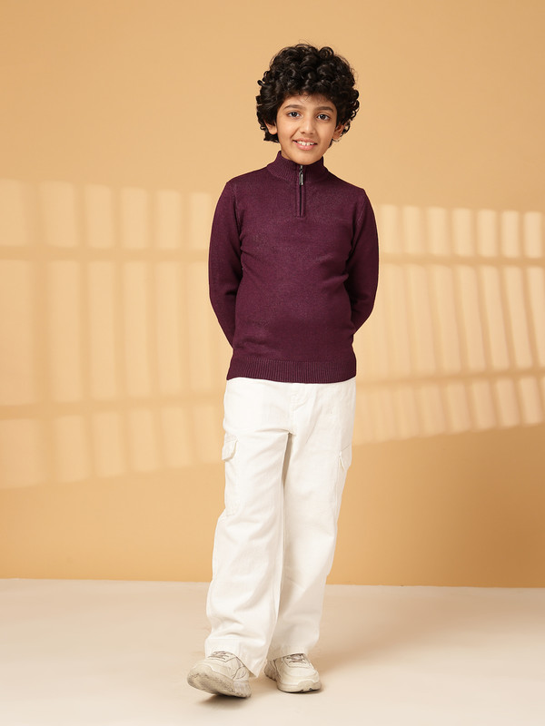 Albion By CnM Kids Boys D PURPLE PULLOVER