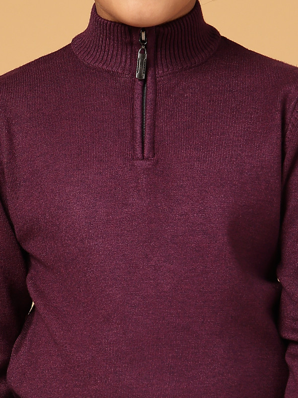 Albion By CnM Kids Boys D PURPLE PULLOVER