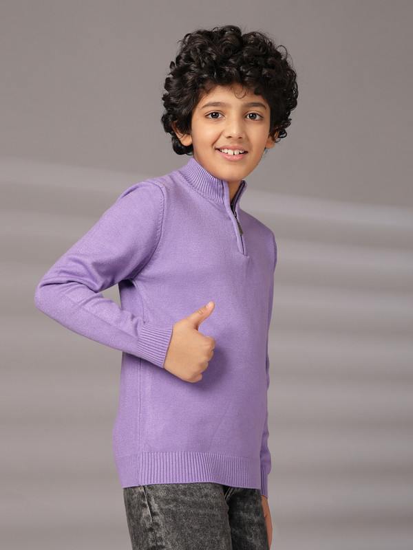 Albion By CnM Kids Boys L PURPLE PULLOVER