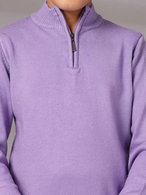 Albion By CnM Kids Boys L PURPLE PULLOVER