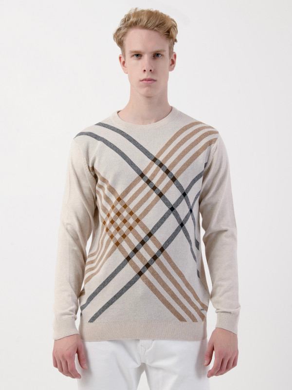 Albion Mens Brown Pullover