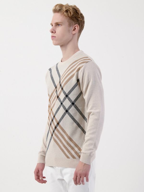 Albion Mens Brown Pullover