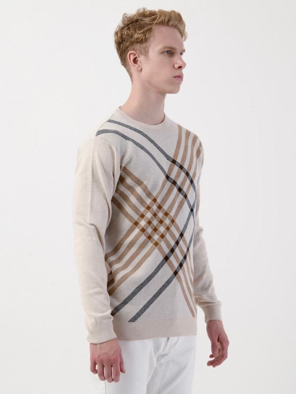 Albion Mens Brown Pullover