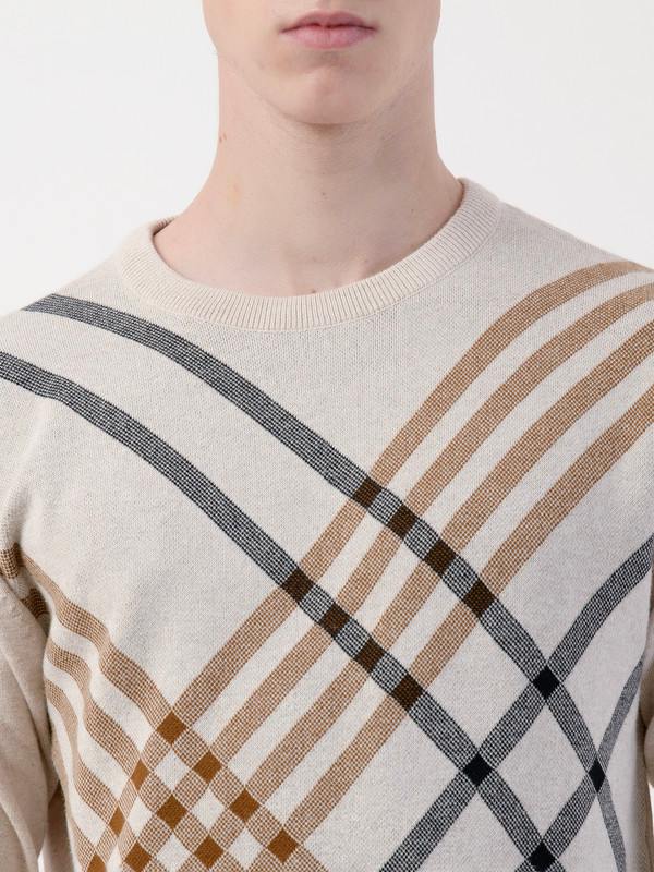 Albion Mens Brown Pullover