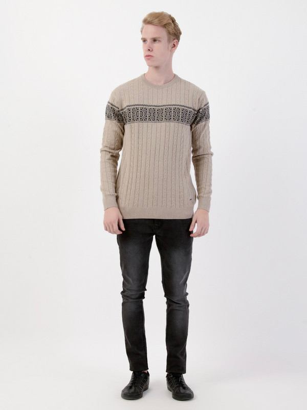 Albion Mens Brown Pullover