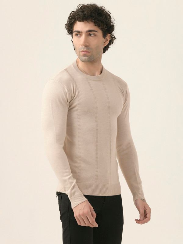 ALBION Mens Winter Beige Sweaters
