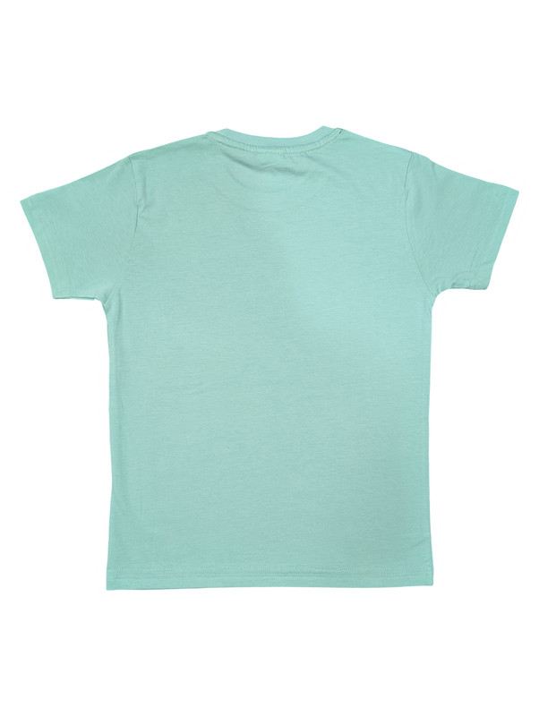 Albion Smart Boys Round Neck Printed T-shirt