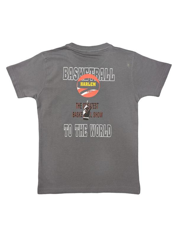 Albion Smart Boys Round Neck Printed T-shirt