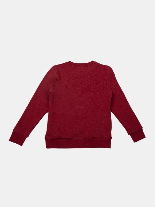 Albion Kids Boys Mehroon Sweatshirt