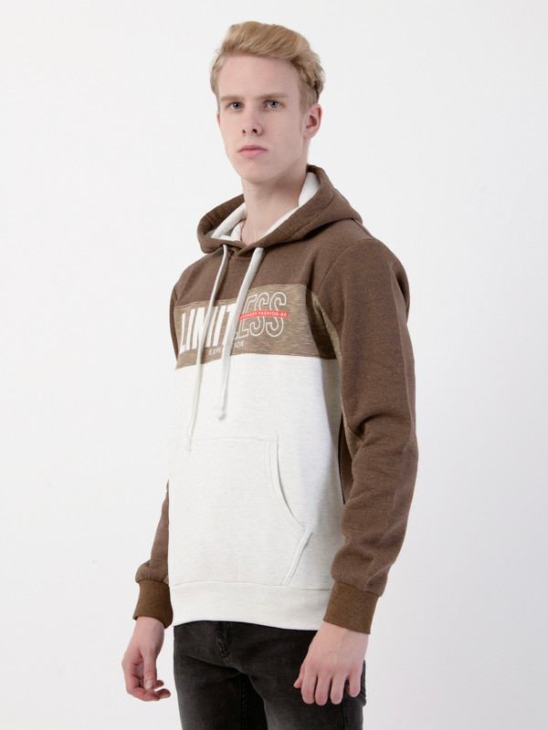 Albion Mens Brown Sweatshirt