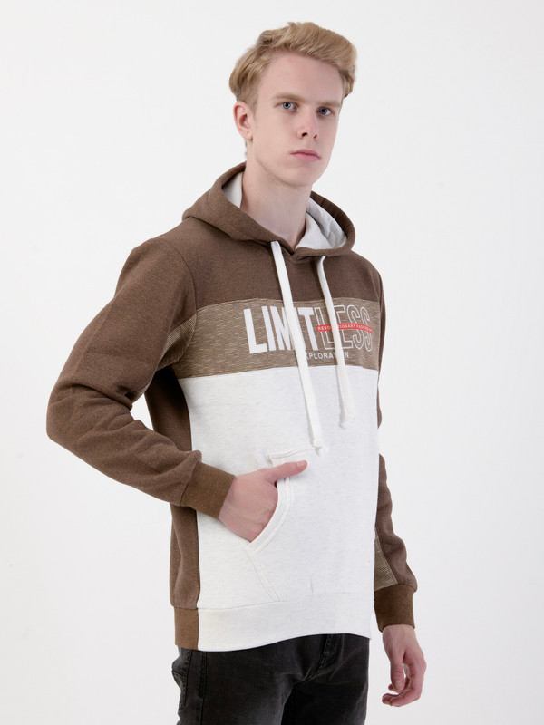 Albion Mens Brown Sweatshirt