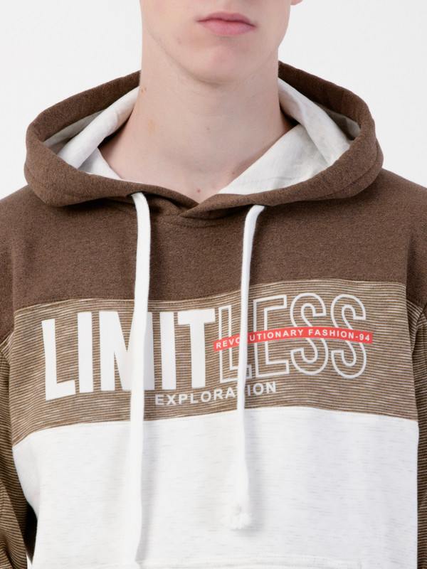 Albion Mens Brown Sweatshirt
