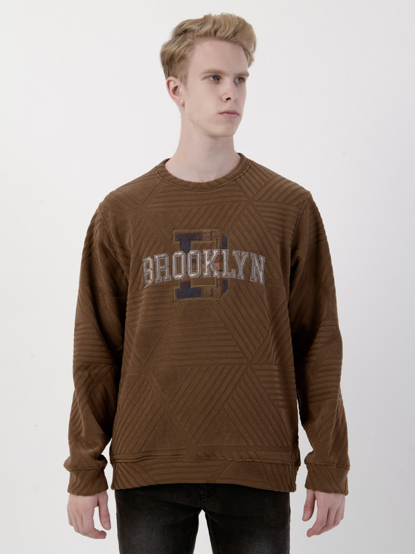 Albion Mens Brown Sweatshirt