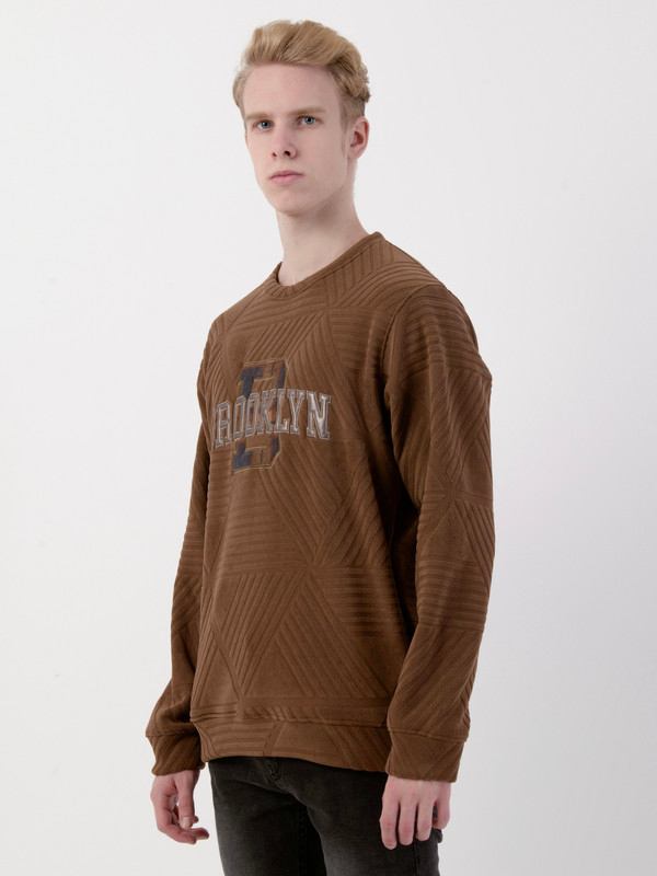 Albion Mens Brown Sweatshirt
