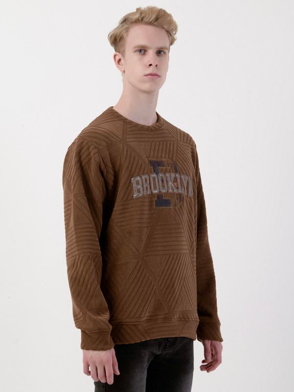 Albion Mens Brown Sweatshirt