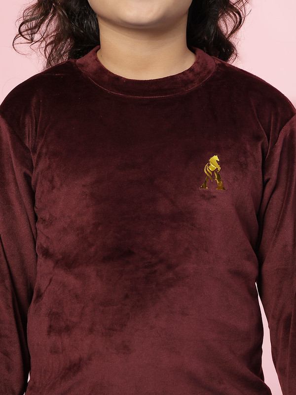 Albion By CnM GIRLS KIDS PURPLE (Wine) PULLOVER