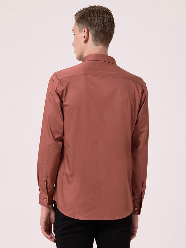 Albion Mens Brown Formal Shirt