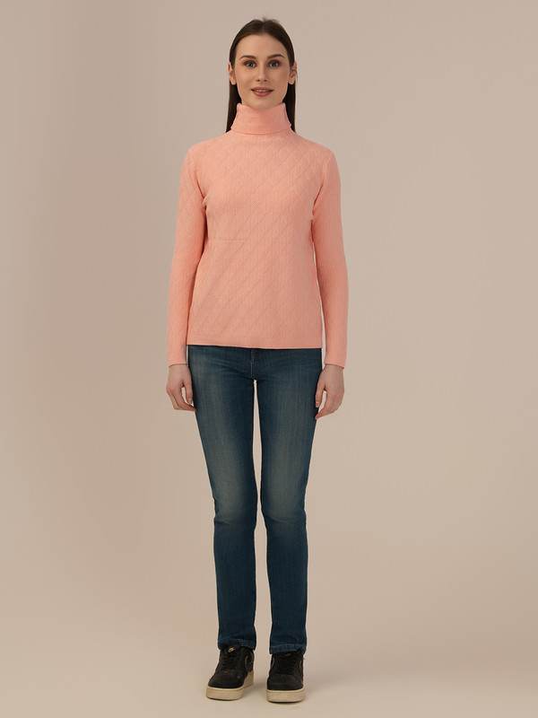 Albion Casual Winter Pink Woolen top