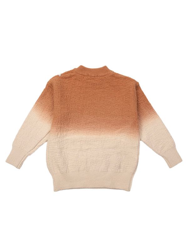 Albion Kids Boys Orange Sweaters