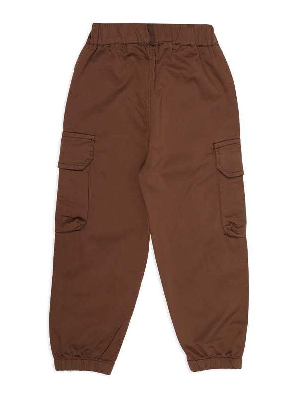 Albion Kids Boys Brown Casual Jogger