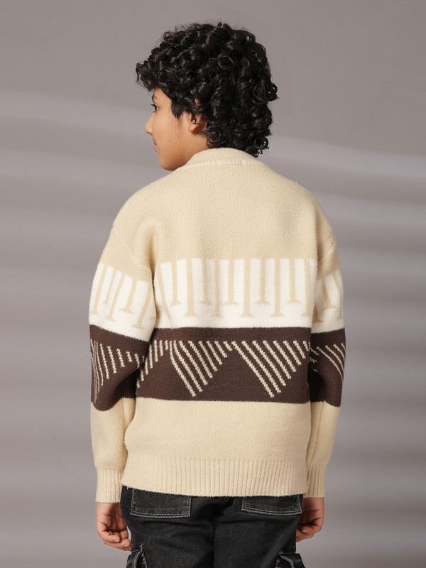 Albion By CnM Kids Boys BROWN PULLOVER