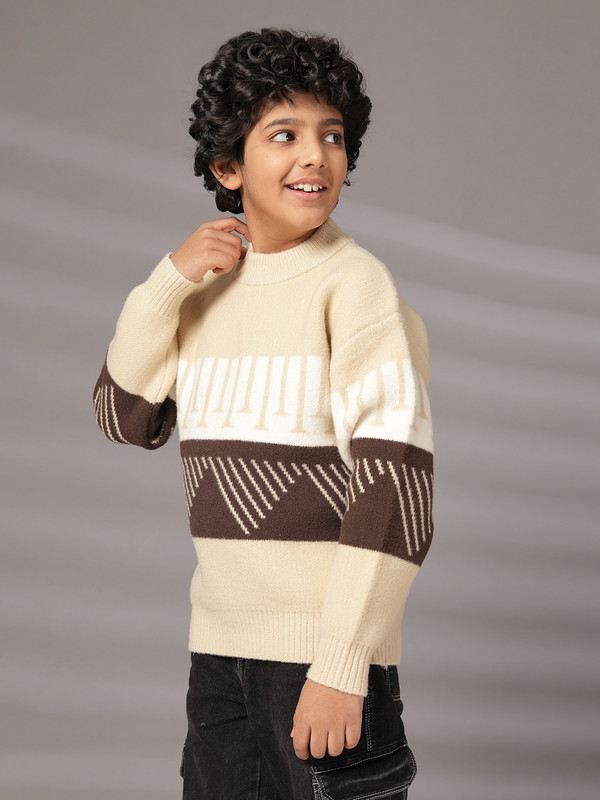 Albion By CnM Kids Boys BROWN PULLOVER