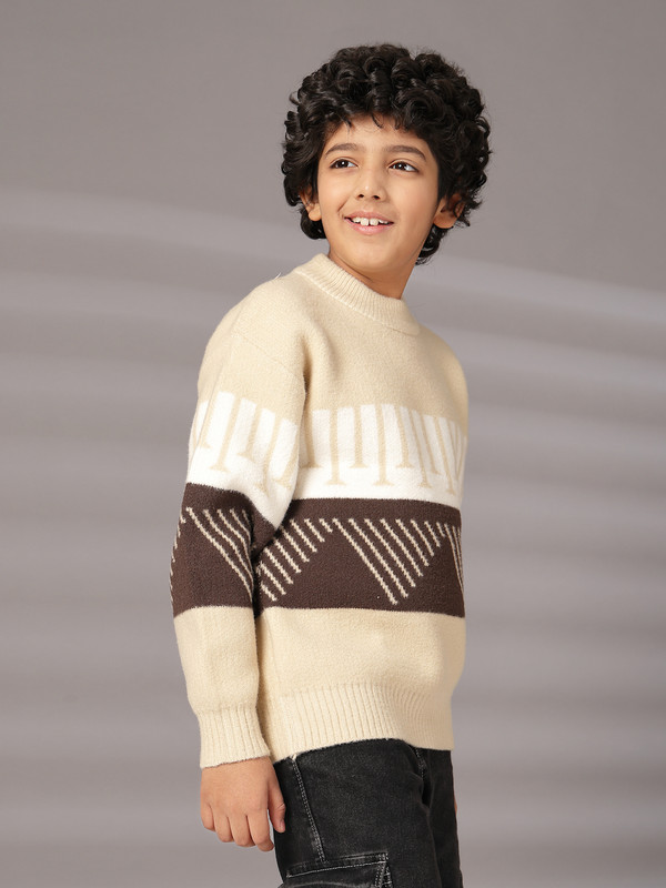 Albion By CnM Kids Boys BROWN PULLOVER
