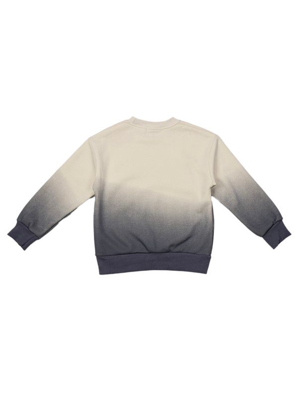 Albion Kids Boys Cream Sweatshirt