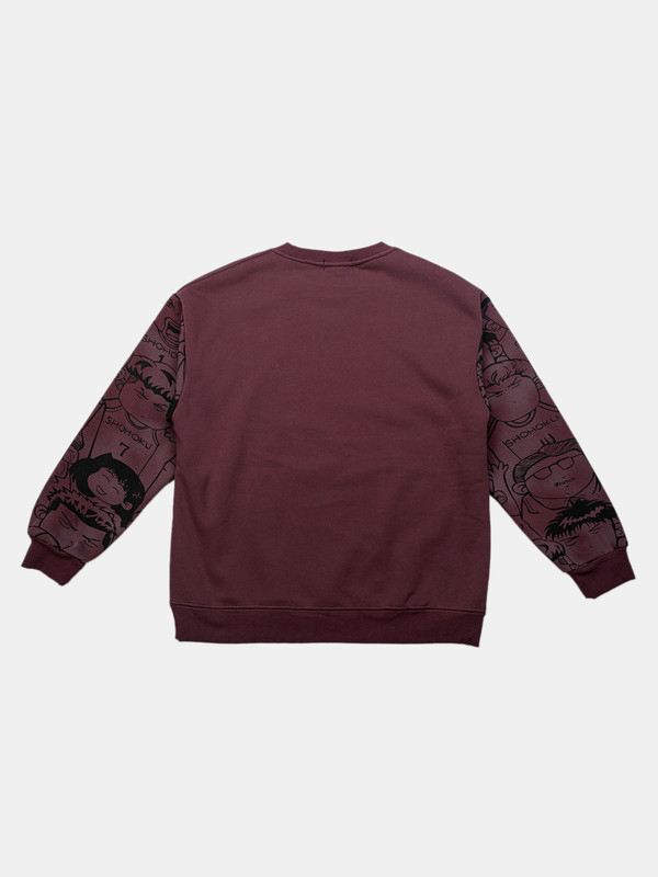 Albion Kids Boys Mehroon Sweatshirt