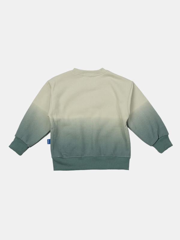 Albion Kids Boys Green Sweatshirt