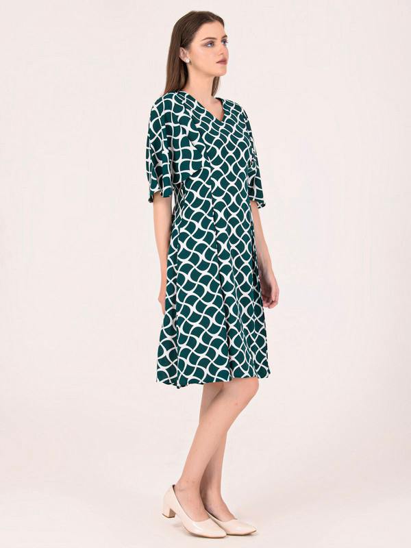 Albion Women Green Smart Dress