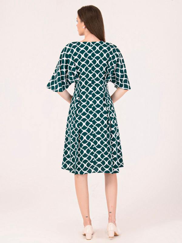 Albion Women Green Smart Dress