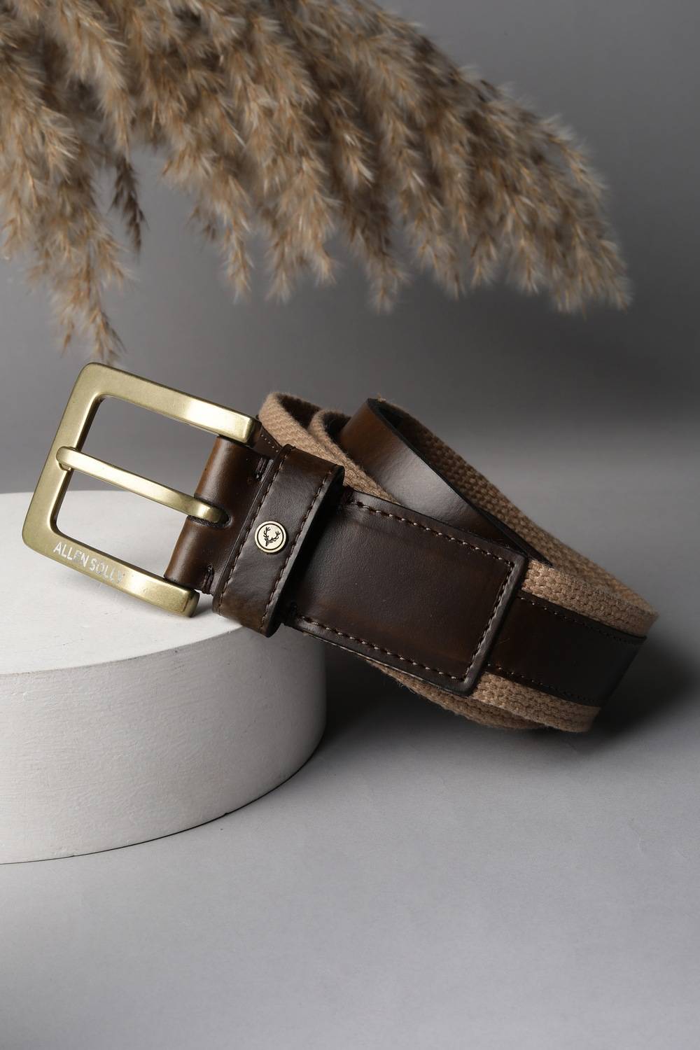 Men Beige Patterned Casual Belt
