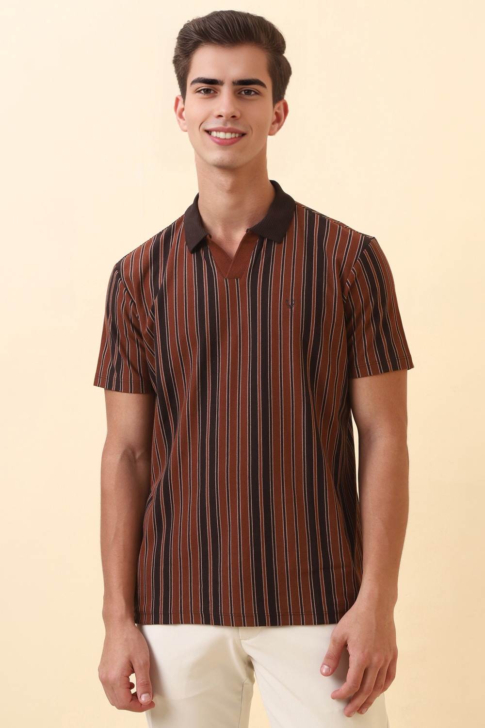 Men Brown Stripe Polo Neck T-shirt