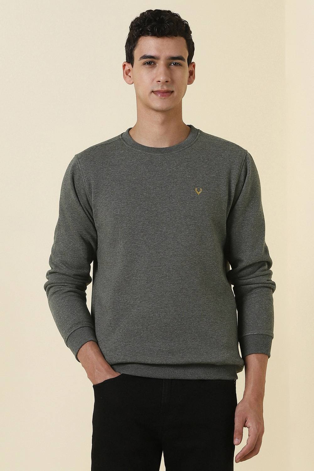 Men Grey Crew Neck Full Sleeves Casual Sweatshirt