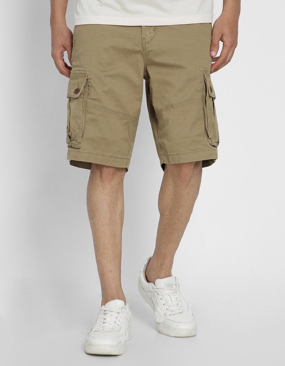 American Eagle Men Brown Flex Lived-In Cargo Short