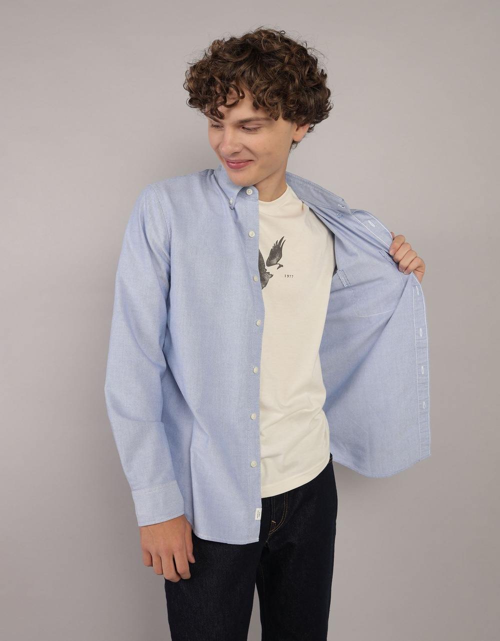 AE Everyday Slim Oxford Button-Up Shirt