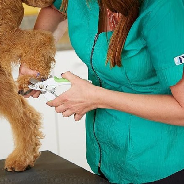 Andis Nail Clipper for Dogs White &amp; Lime Green - Large