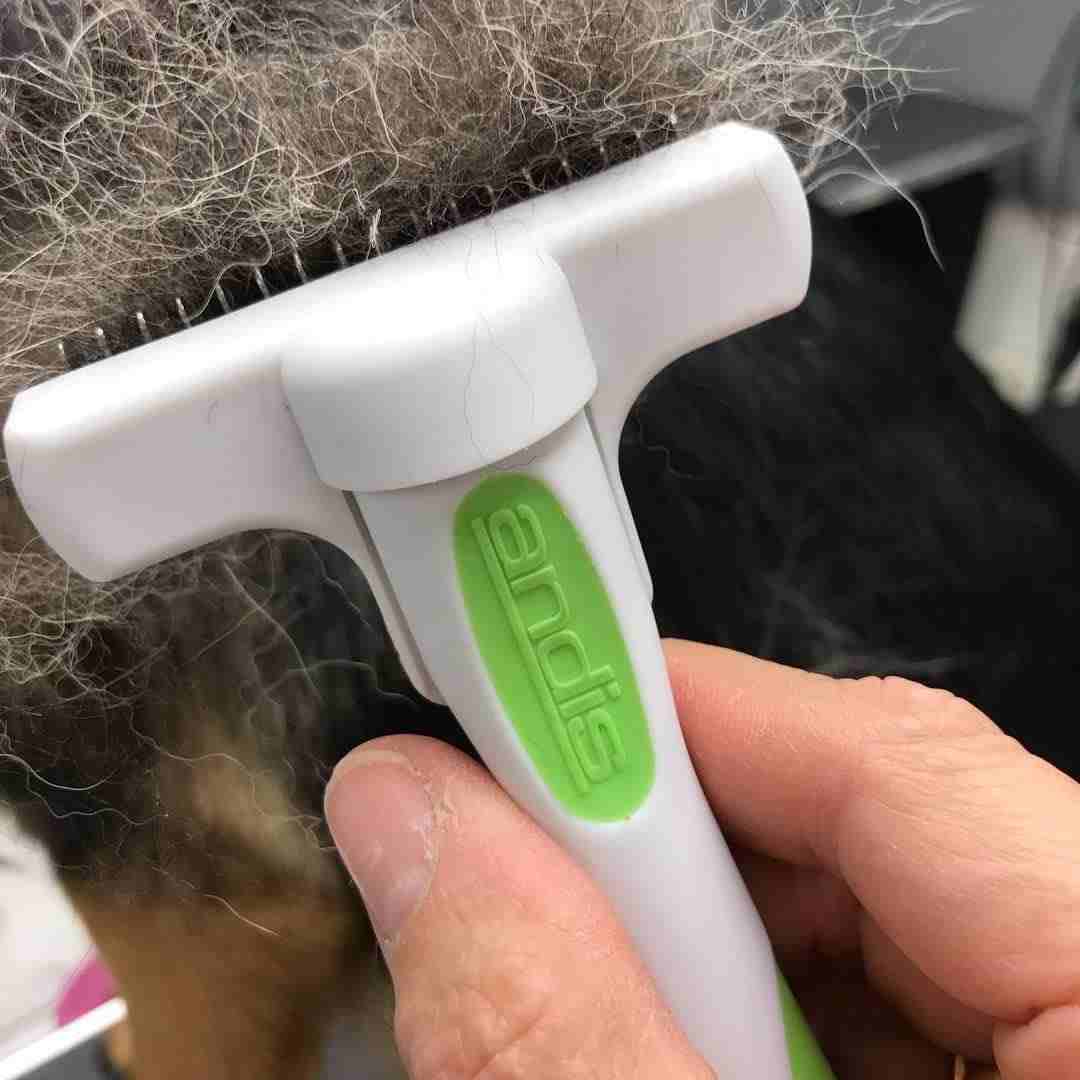 Andis Compact De-shedding Pet Tool