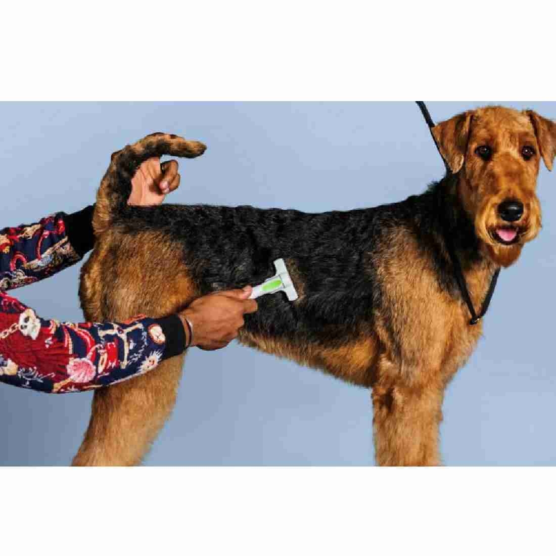 Andis Compact De-shedding Pet Tool