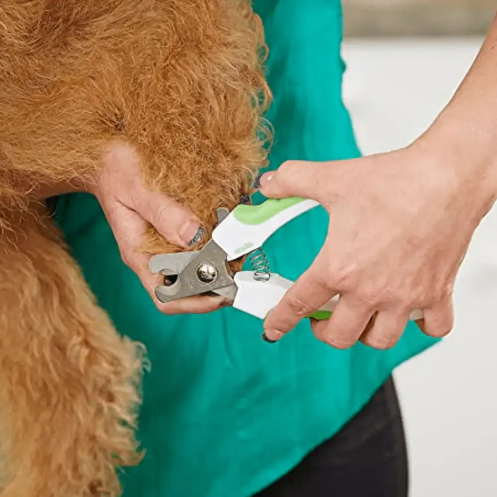 Andis Large Pet Nail Clipper - Lime Green